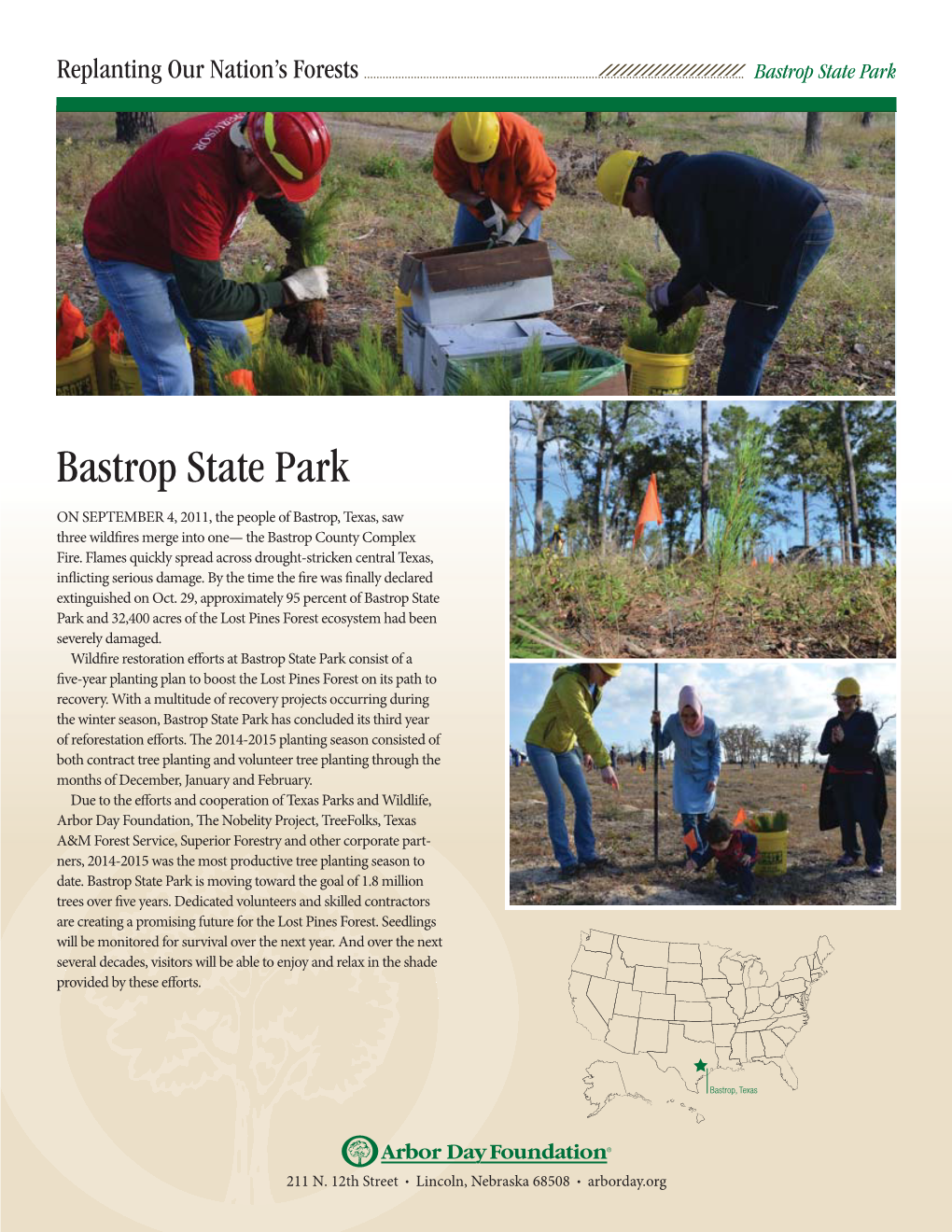 Bastrop State Park