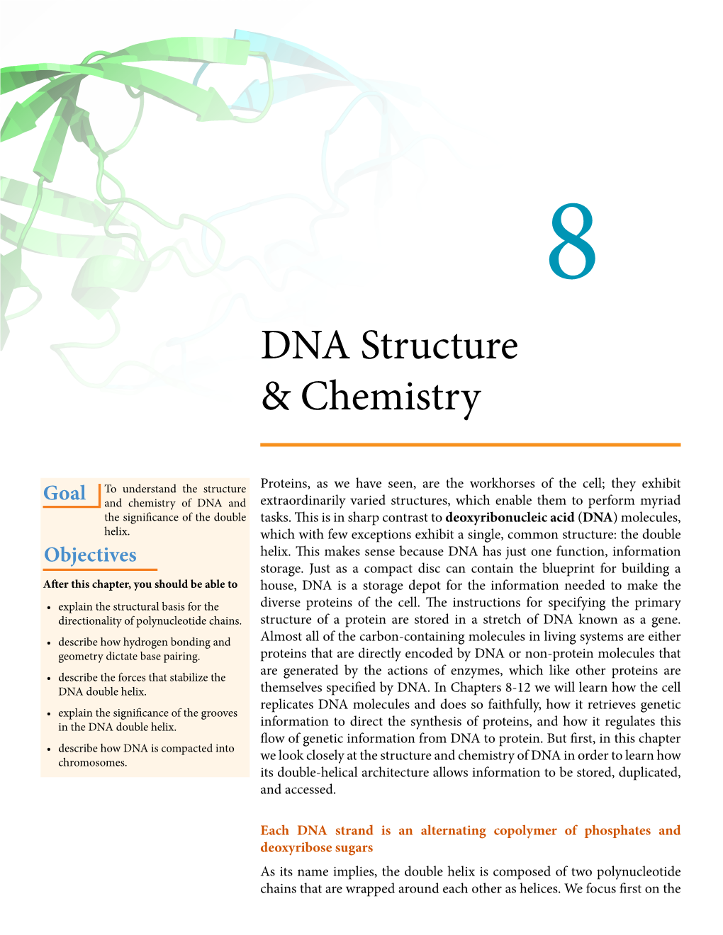 DNA Structure & Chemistry