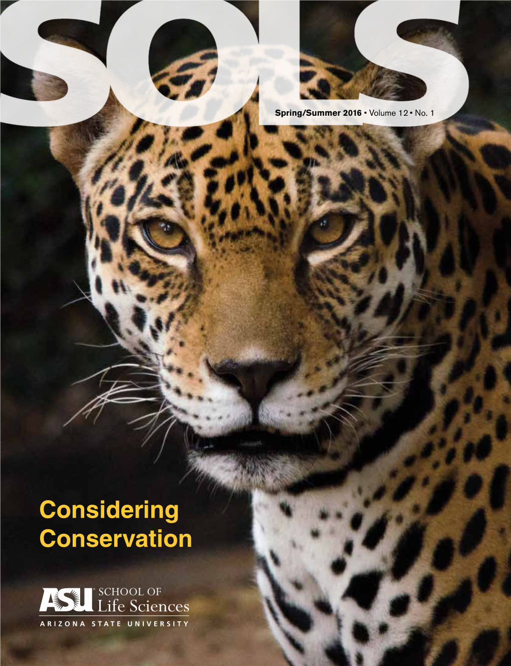 Considering Conservation from the Editor