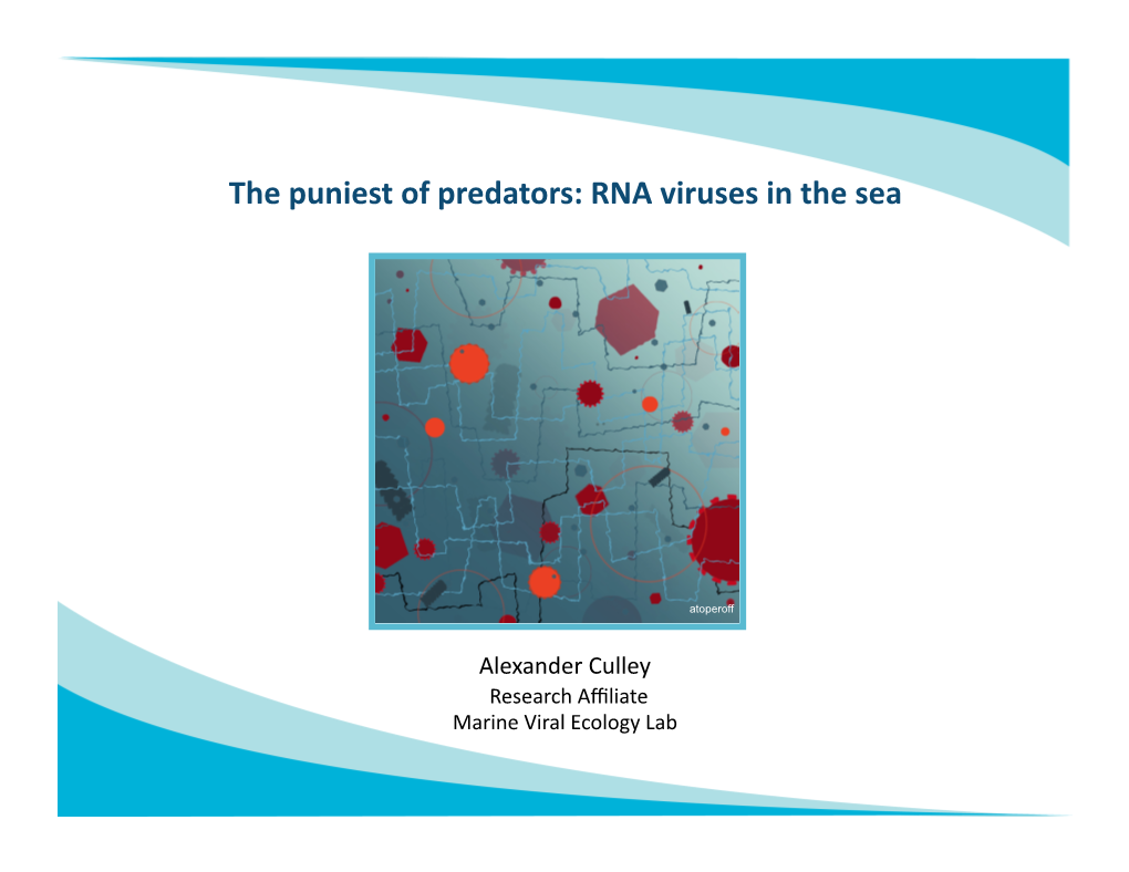 RNA Viruses in the Sea