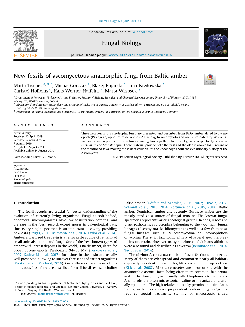 New Fossils of Ascomycetous Anamorphic Fungi from Baltic Amber