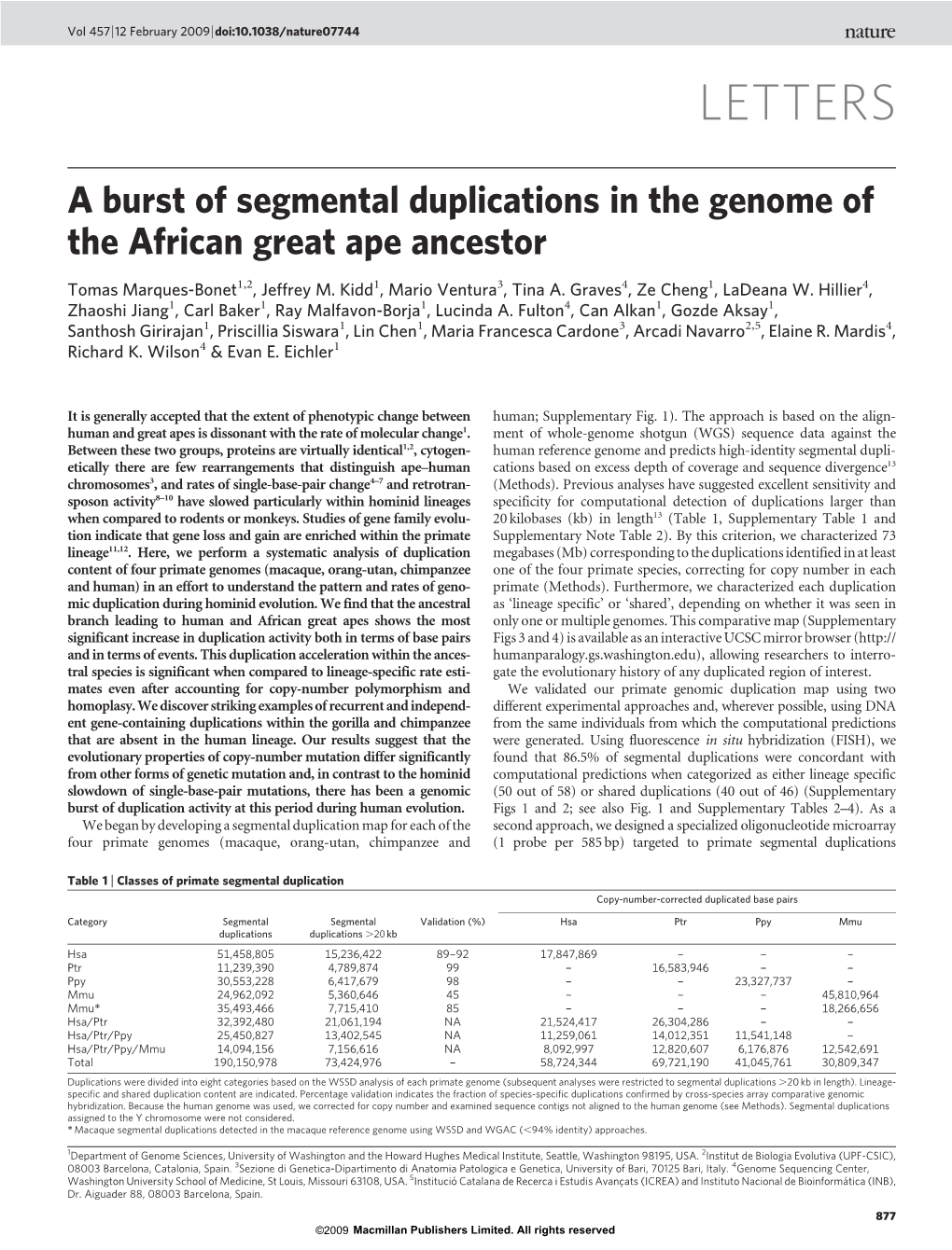 A Burst of Segmental Duplications in the Genome of the African Great Ape Ancestor