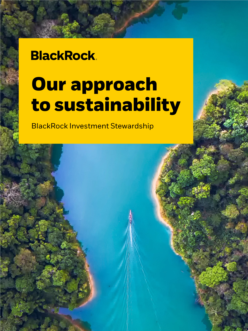 Our Approach to Sustainability Blackrock Investment Stewardship