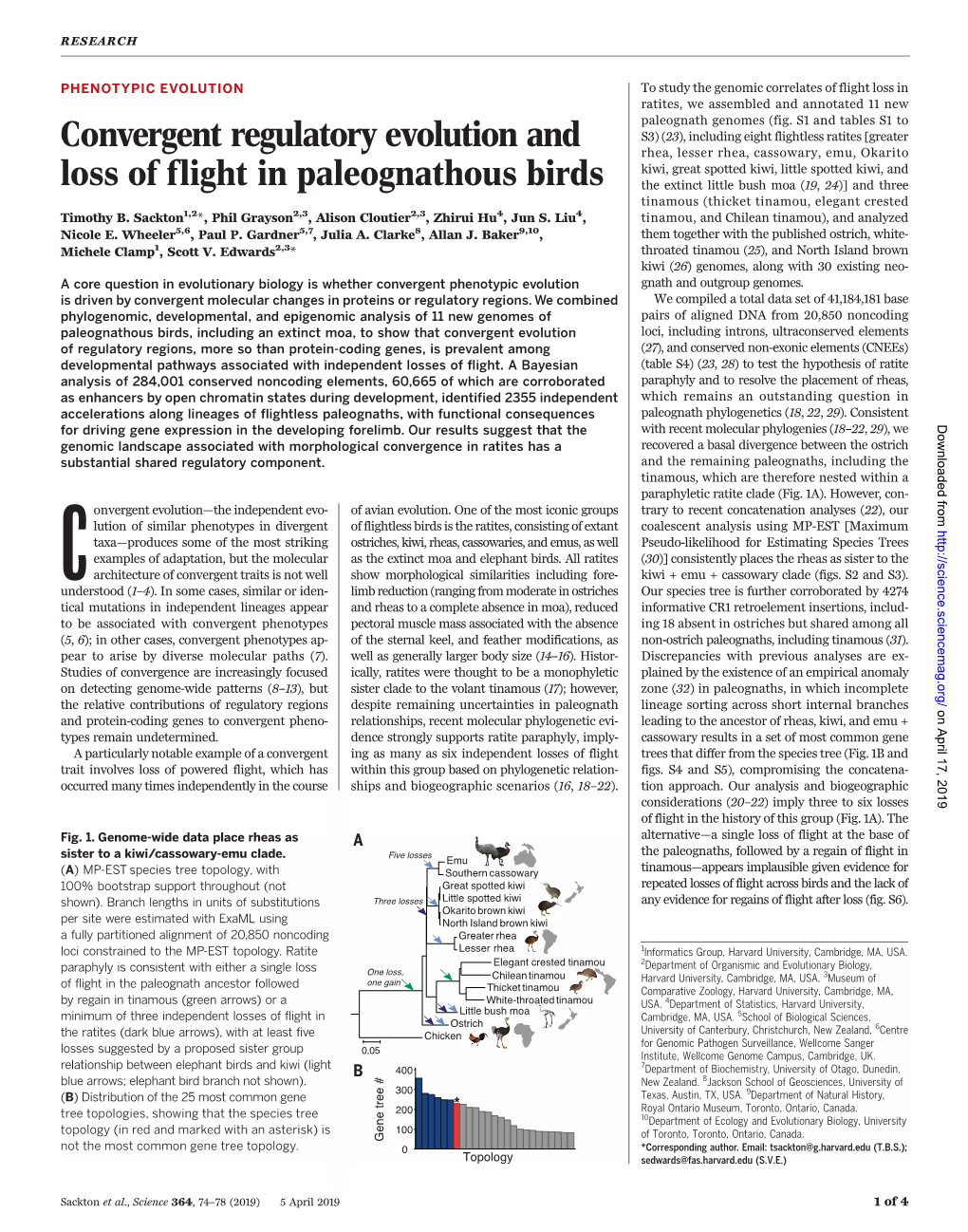 Convergent Regulatory Evolution and Loss of Flight in Paleognathous Birds Timothy B