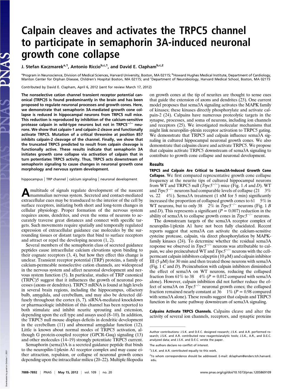 Calpain Cleaves and Activates the TRPC5 Channel to Participate in Semaphorin 3A-Induced Neuronal Growth Cone Collapse