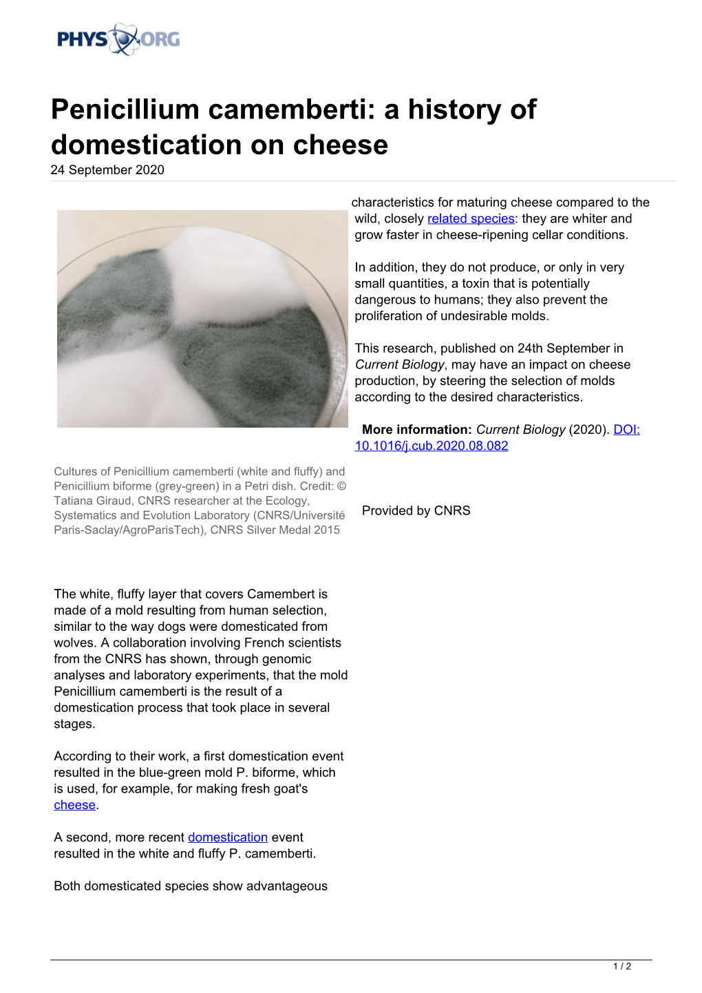 Penicillium Camemberti: a History of Domestication on Cheese 24 September 2020