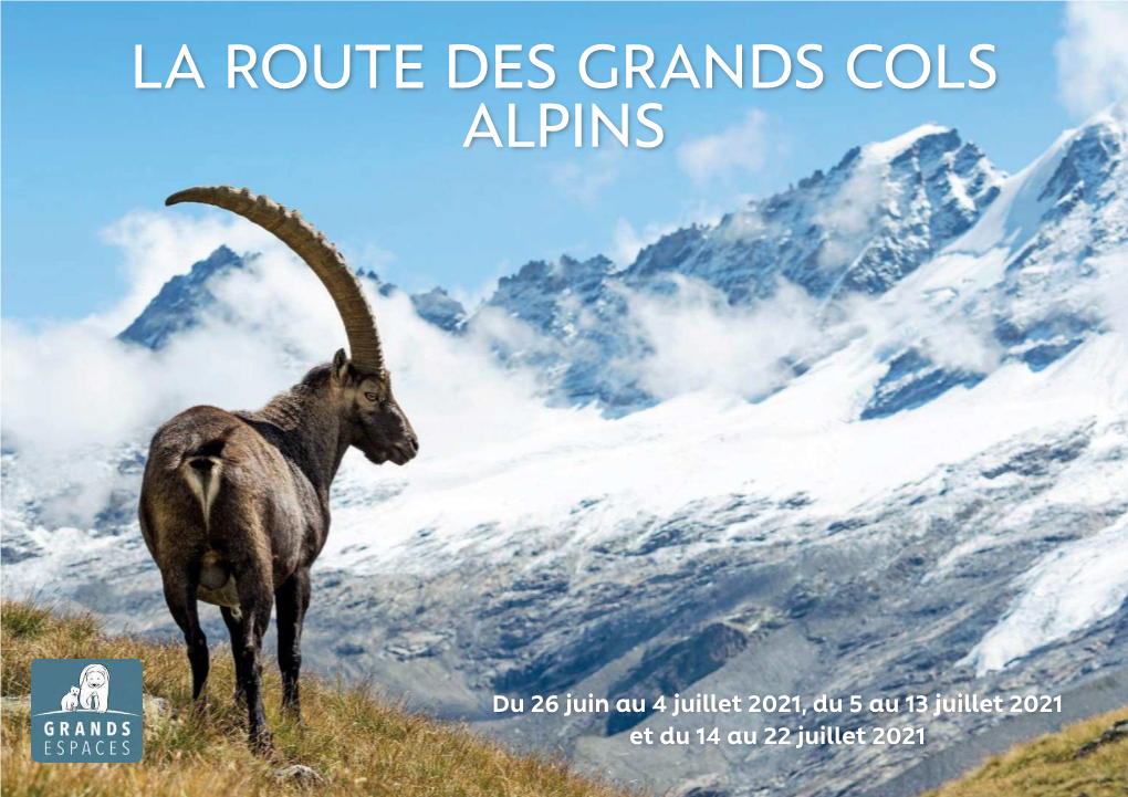 La Route Des Grands Cols Alpins