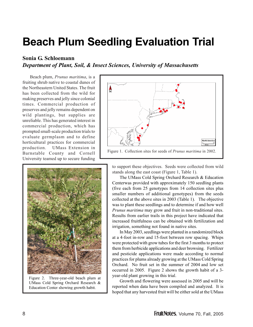 Beach Plum Seedling Evaluation Trial