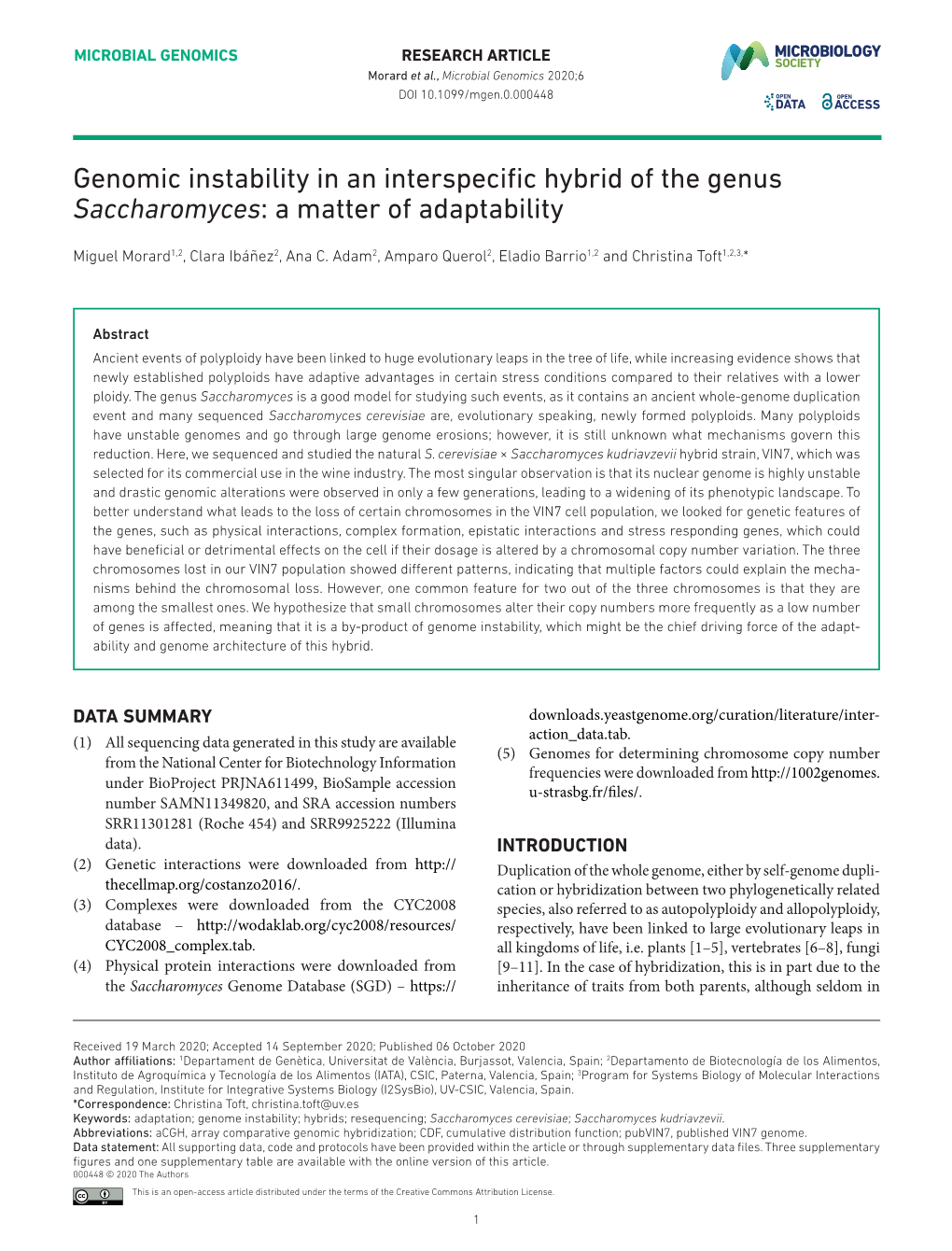 Genomic Instability in an Interspecific Hybrid of the Genus Saccharomyces: a Matter of Adaptability