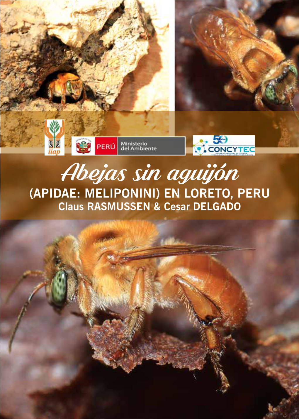 Abejas Sin Aguijón (APIDAE: MELIPONINI) EN LORETO, PERU Claus RASMUSSEN & Cesar DELGADO De Los Autores