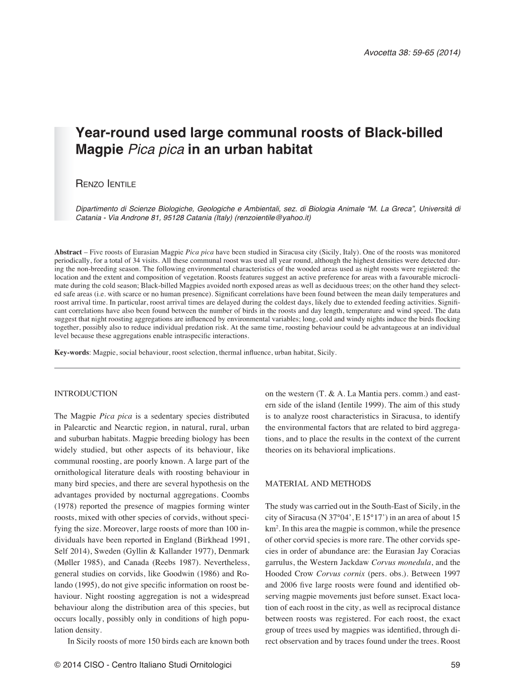 Year-Round Used Large Communal Roosts of Black-Billed Magpie Pica Pica in an Urban Habitat
