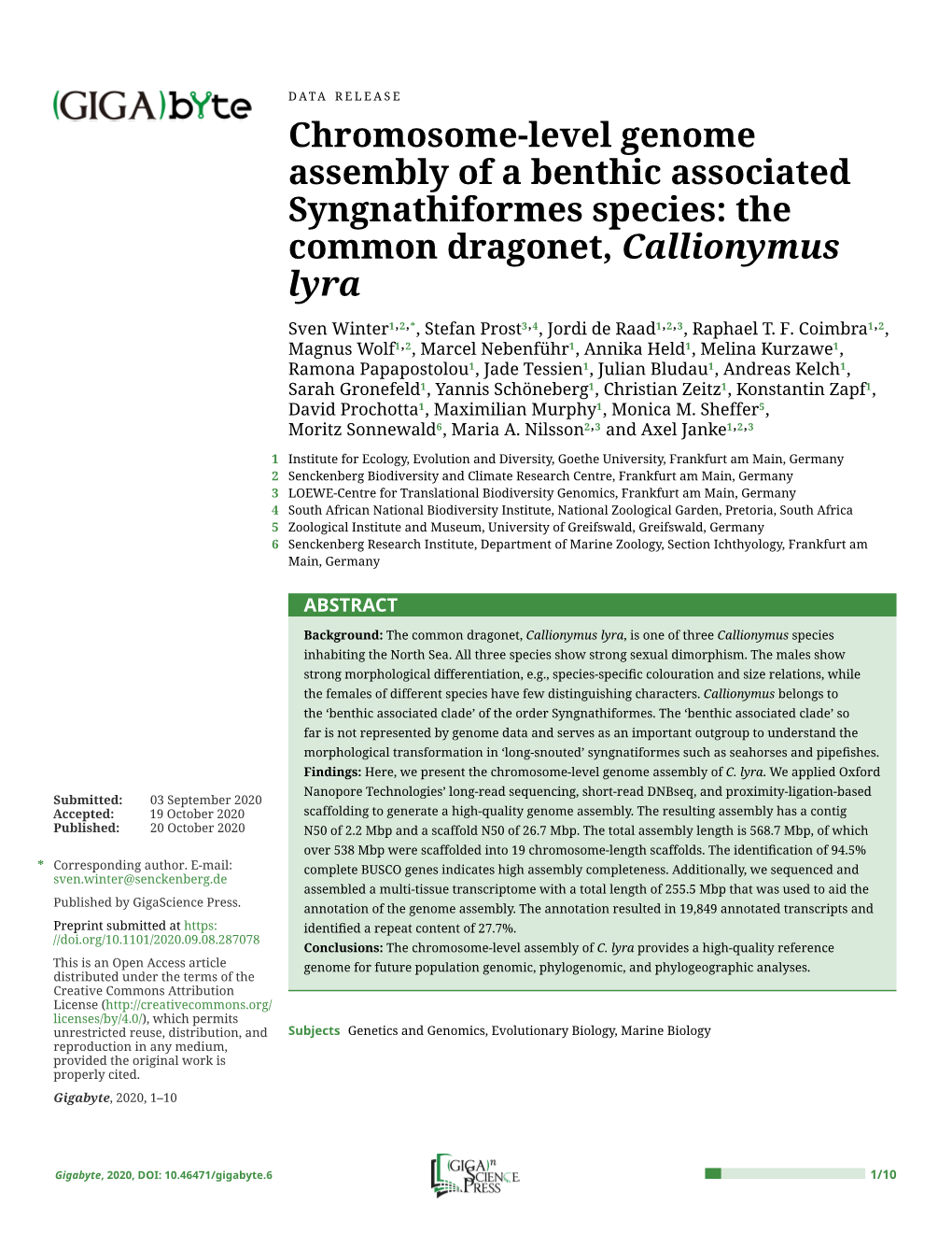 Chromosome-Level Genome Assembly of a Benthic Associated Syngnathiformes Species: the Common Dragonet, Callionymus Lyra