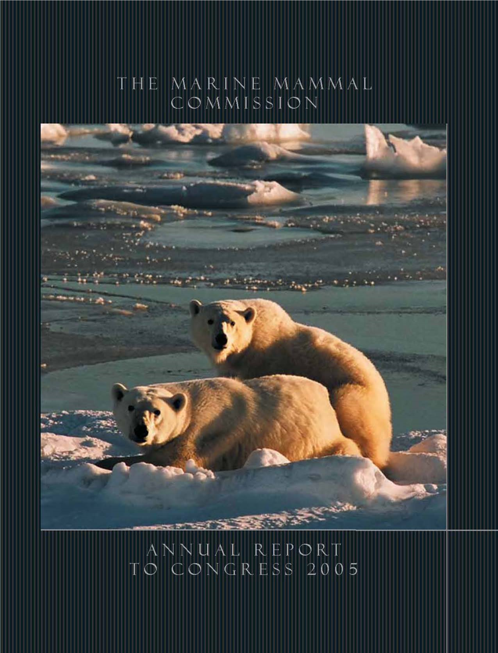 2005 Annual Report