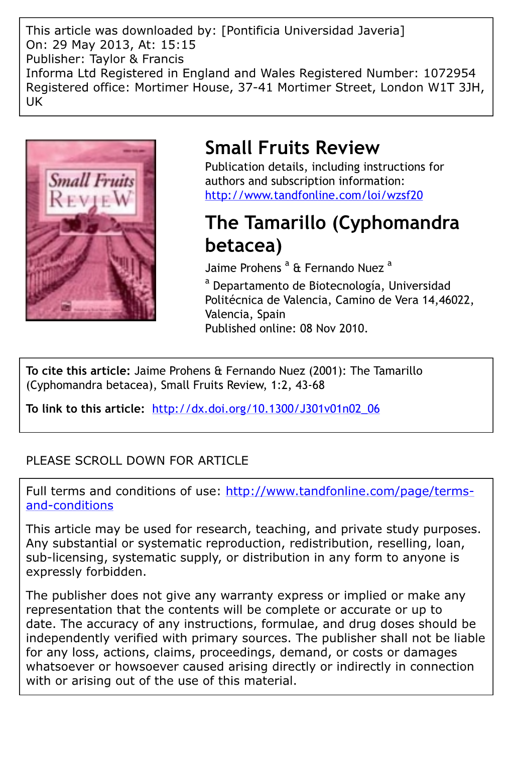 The Tamarillo (Cyphomandra Betacea)