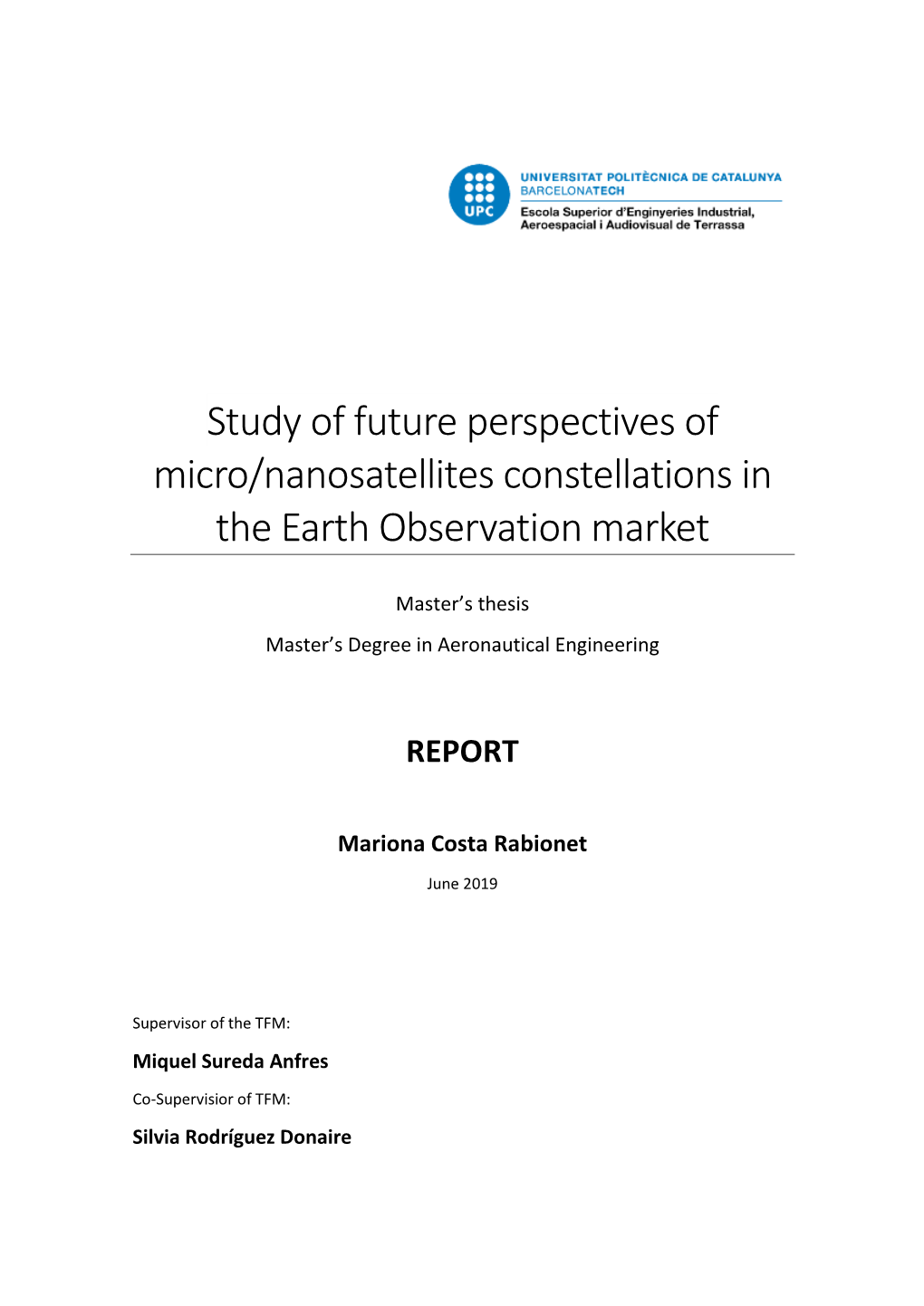 Study of Future Perspectives of Micro/Nanosatellites Constellations in the Earth Observation Market