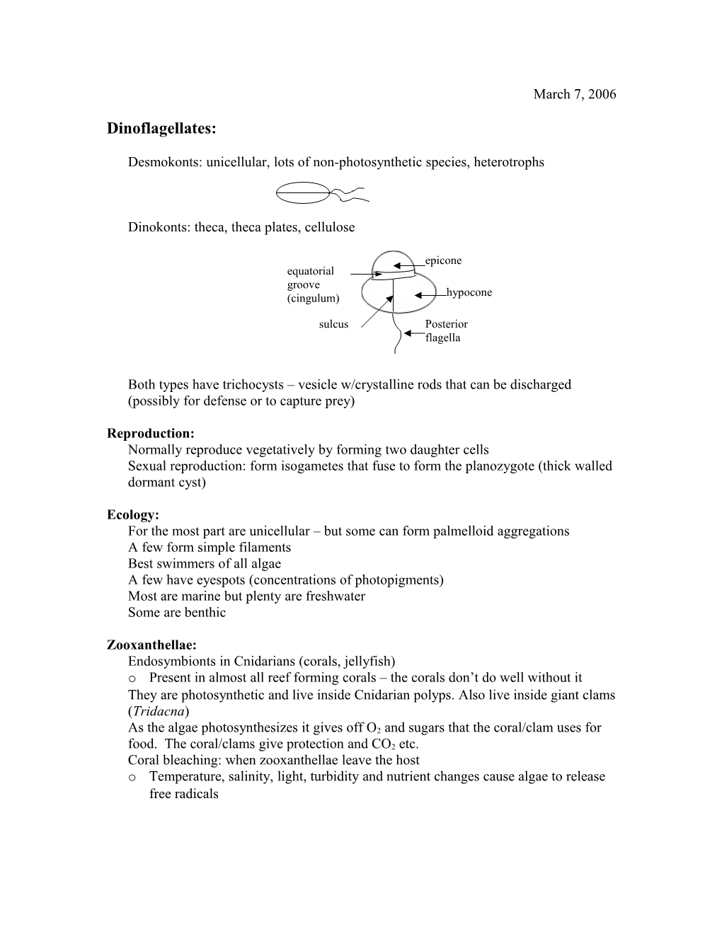 Desmokonts: Unicellular, Lots of Non-Photosynthetic Species, Heterotrophs