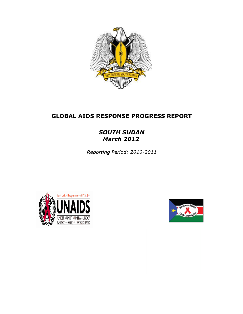 2010 Country Progress Report