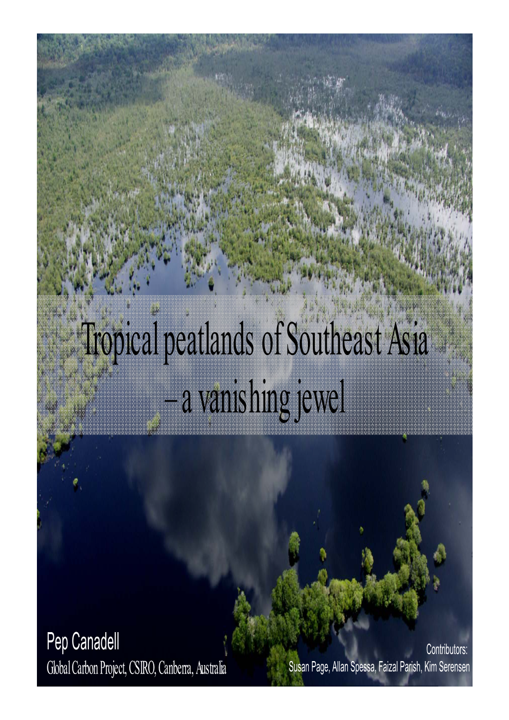 Tropical Peatlands of Southeast Asia – a Vanishing Jewel