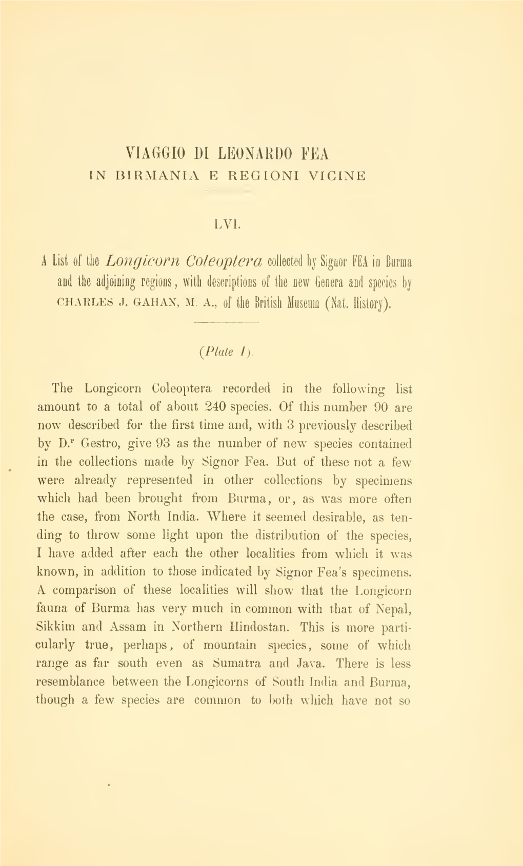 A List of the Longicorn Coleoptera Collected by Signor Fea in Burma