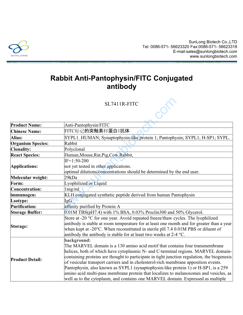 Rabbit Anti-Pantophysin/FITC Conjugated Antibody