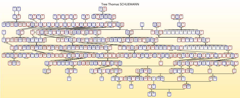 Tree Thomas SCHLIEMANN