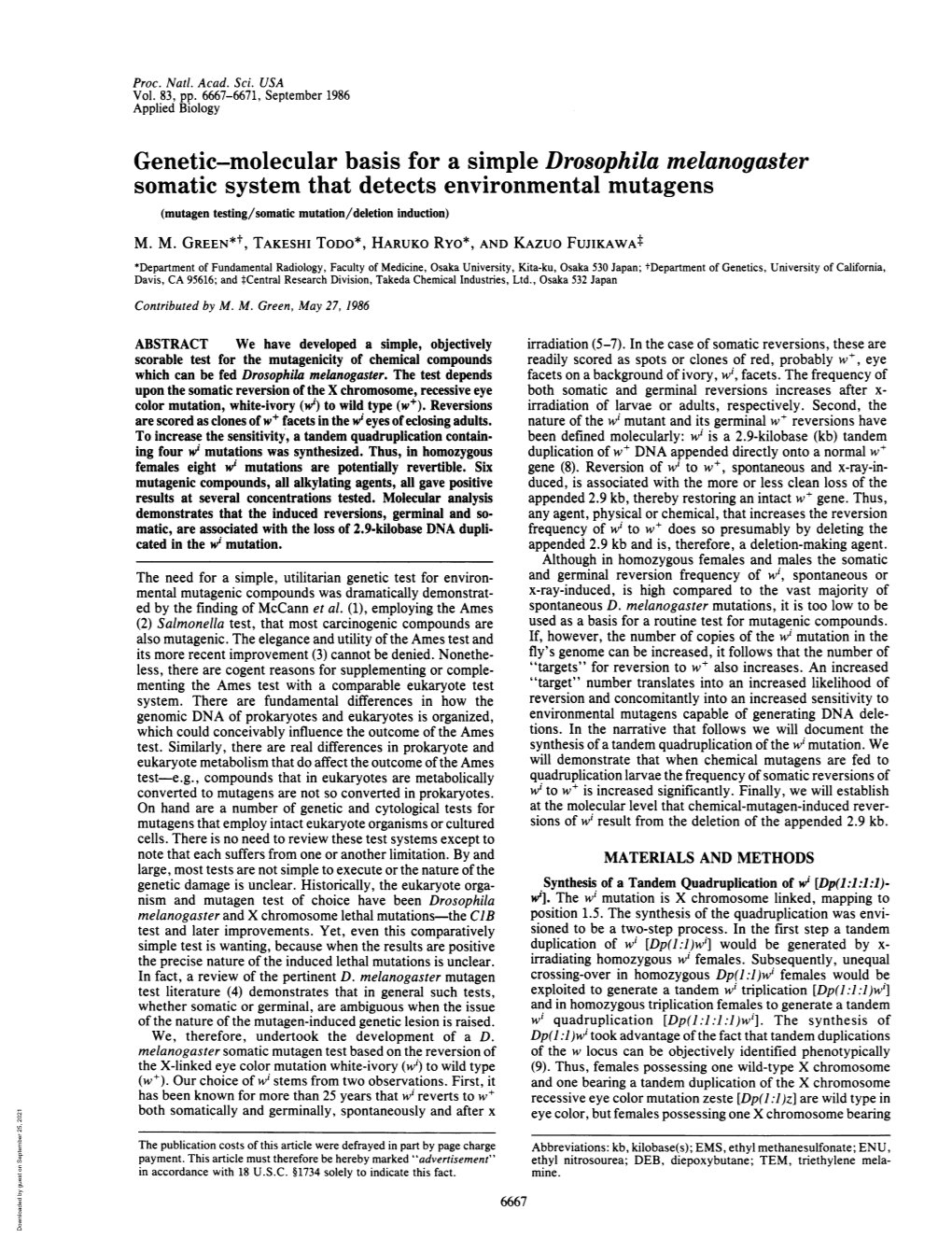 Genetic-Molecular Basis for a Simple Drosophila Melanogaster