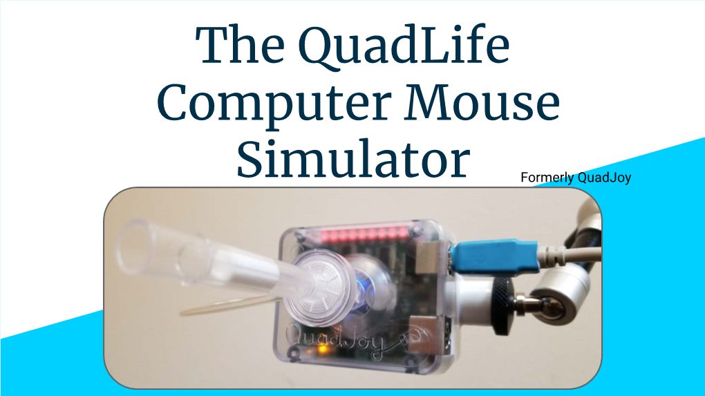 The Quadlife Computer Mouse