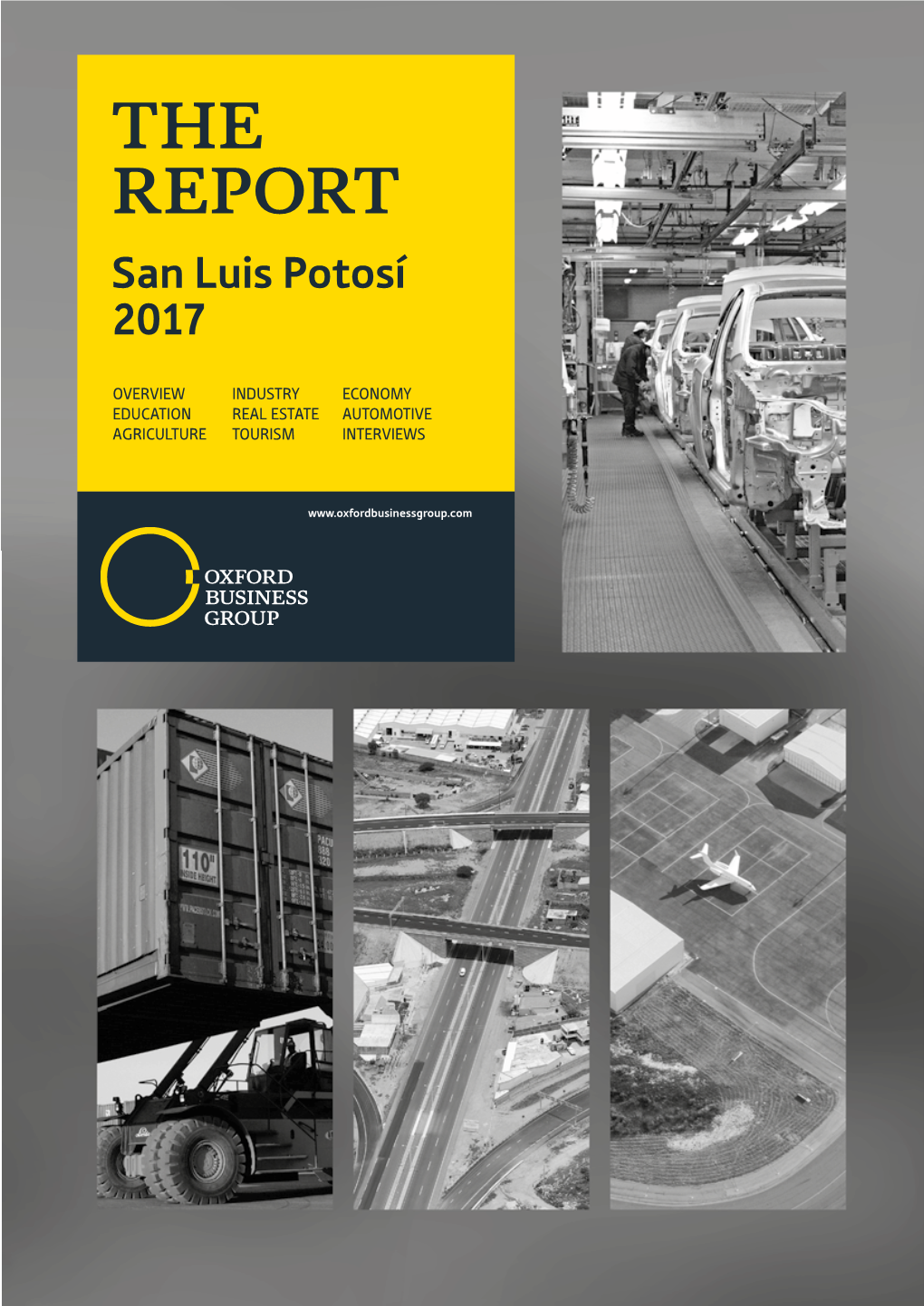 THE REPORT San Luis Potosí 2017