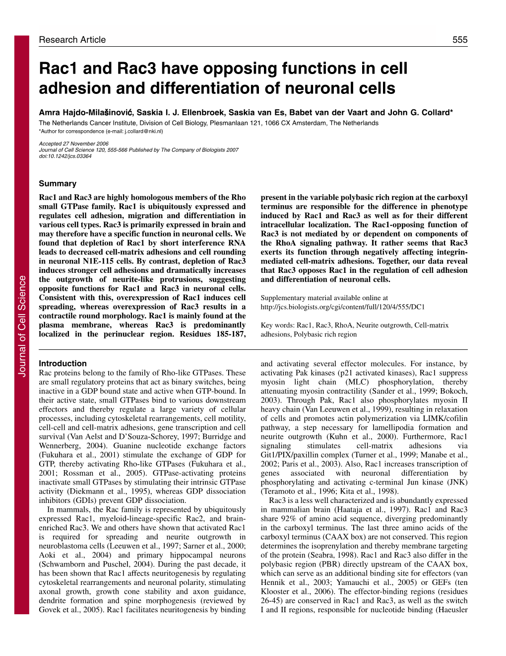 Rac1 and Rac3 Have Opposing Functions in Cell Adhesion and Differentiation of Neuronal Cells