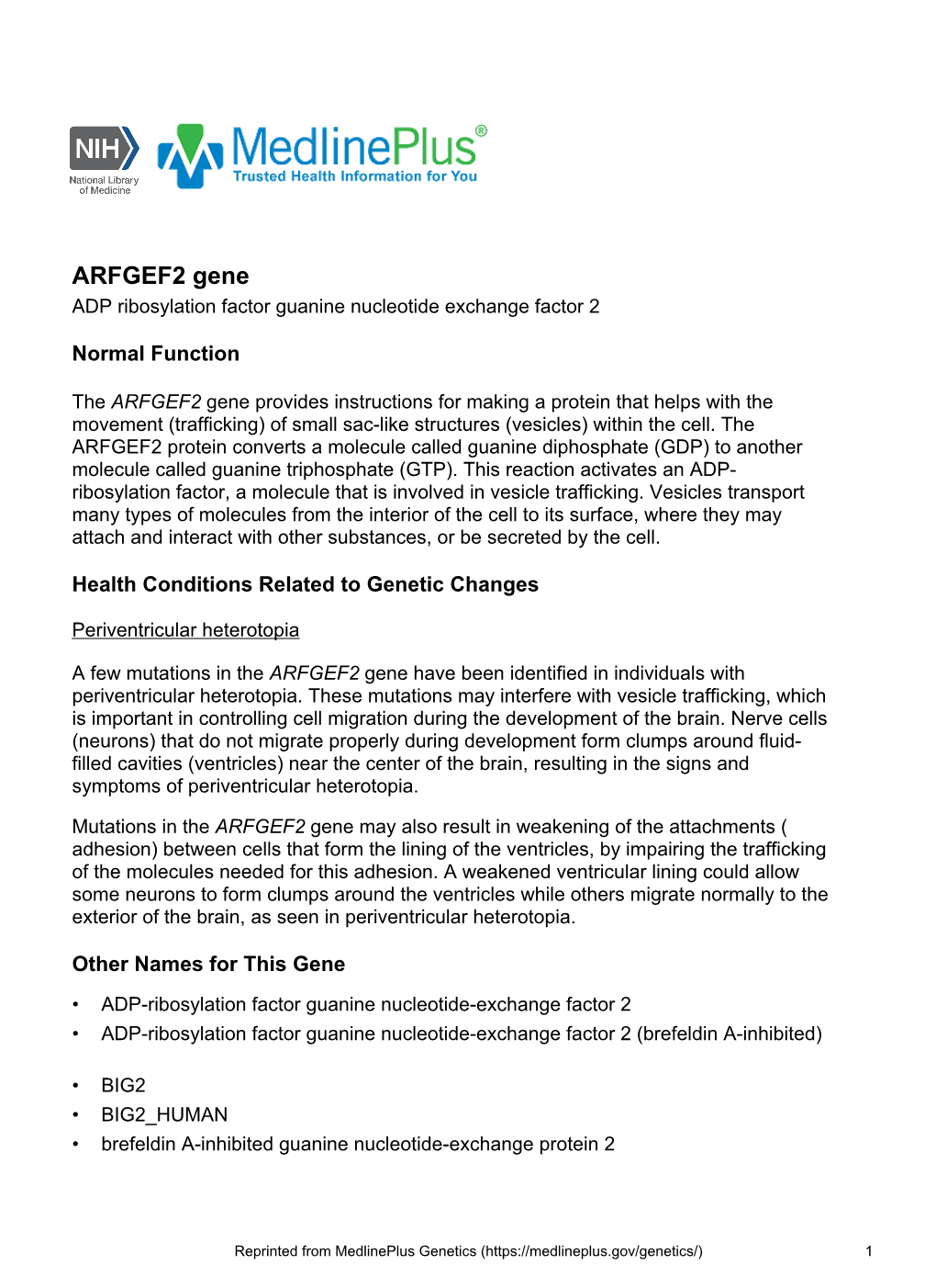 ARFGEF2 Gene ADP Ribosylation Factor Guanine Nucleotide Exchange Factor 2