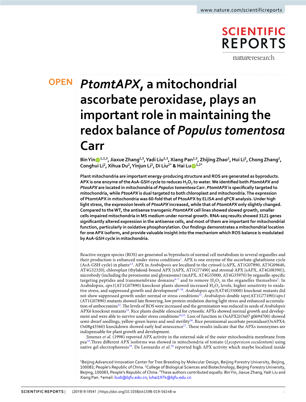 Ptomtapx, a Mitochondrial Ascorbate Peroxidase, Plays an Important Role in Maintaining the Redox Balance of Populus Tomentosa Ca