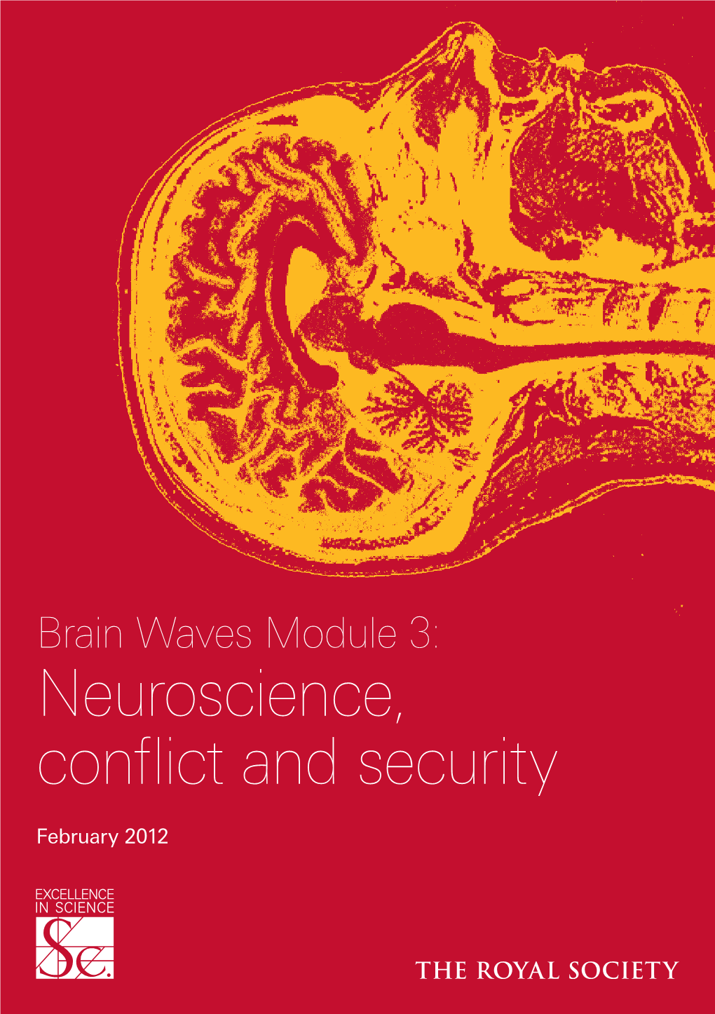 Neuroscience, Conflict and Security