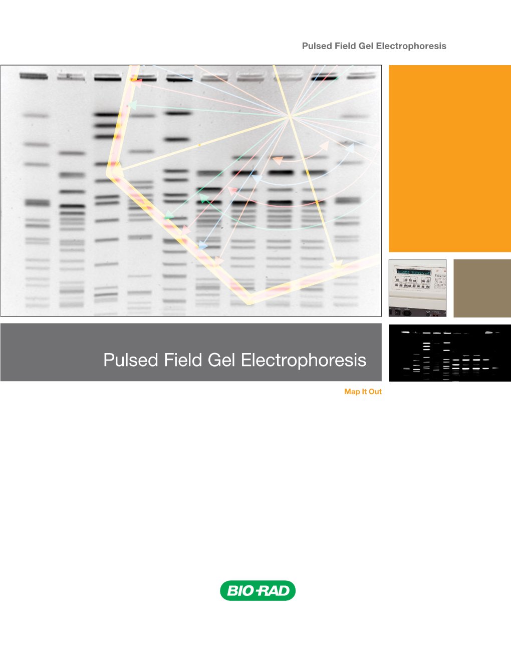 Pulsed Field Gel Electrophoresis