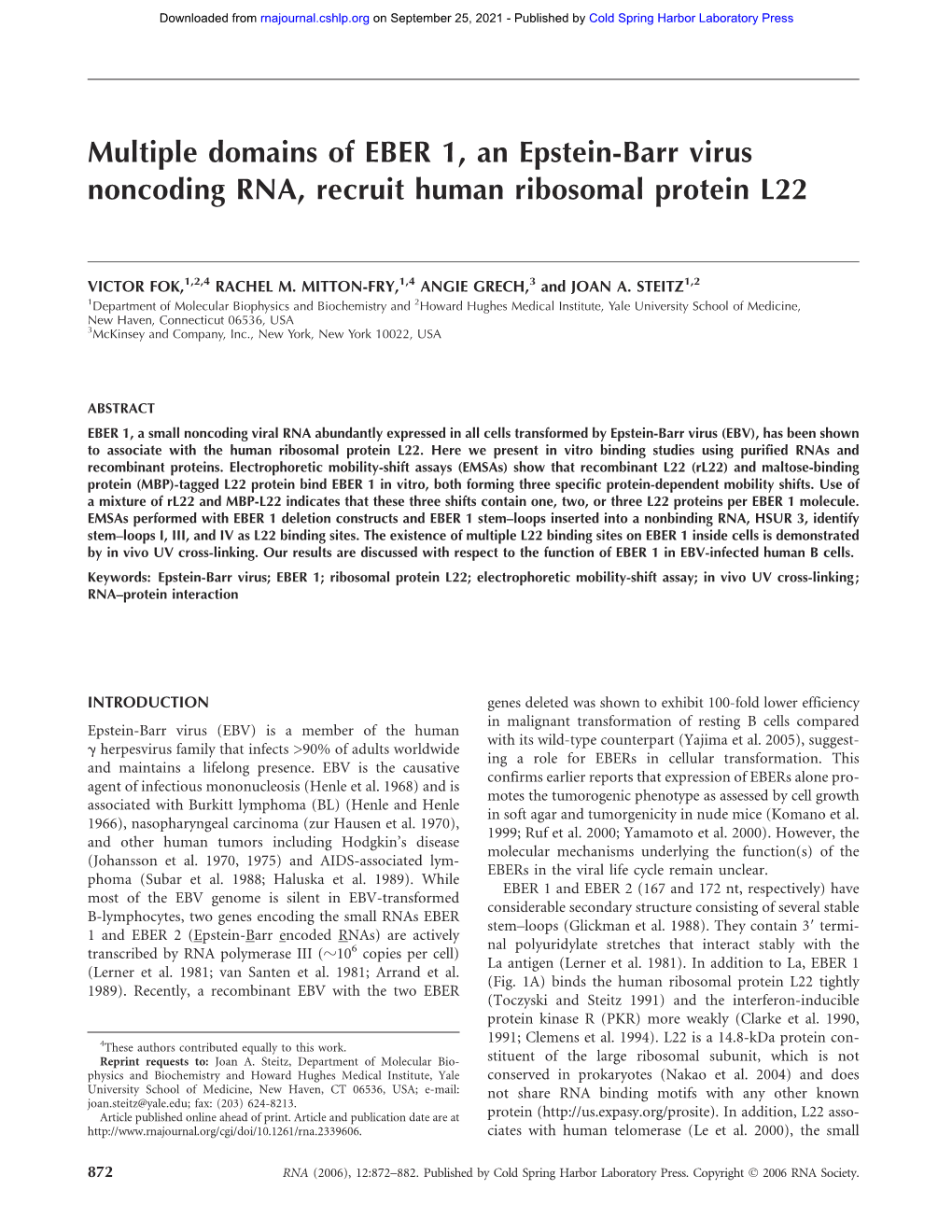 Multiple Domains of EBER 1, an Epstein-Barr Virus Noncoding RNA, Recruit Human Ribosomal Protein L22