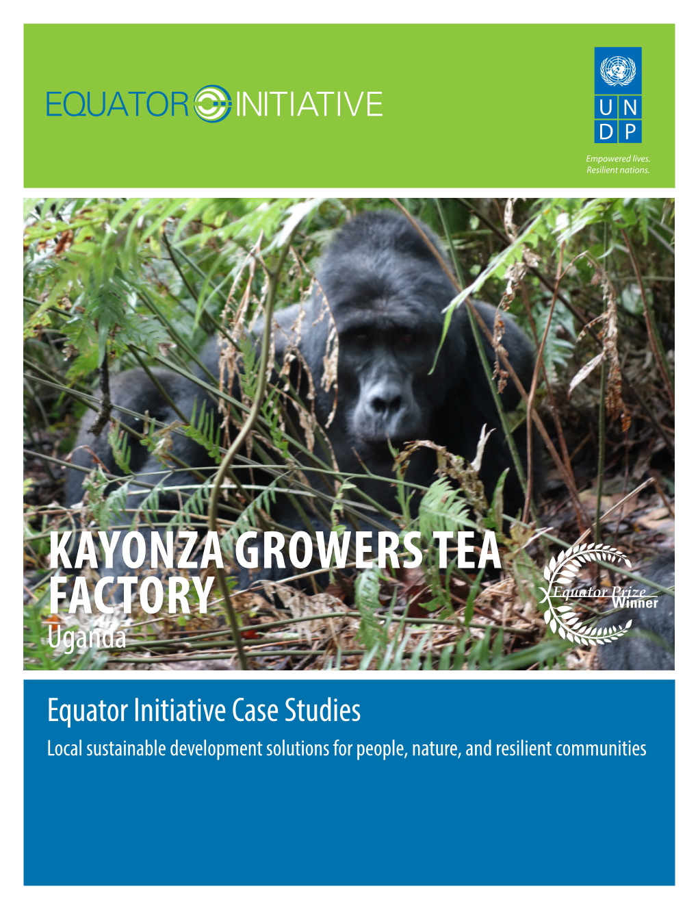 KAYONZA GROWERS TEA FACTORY Uganda