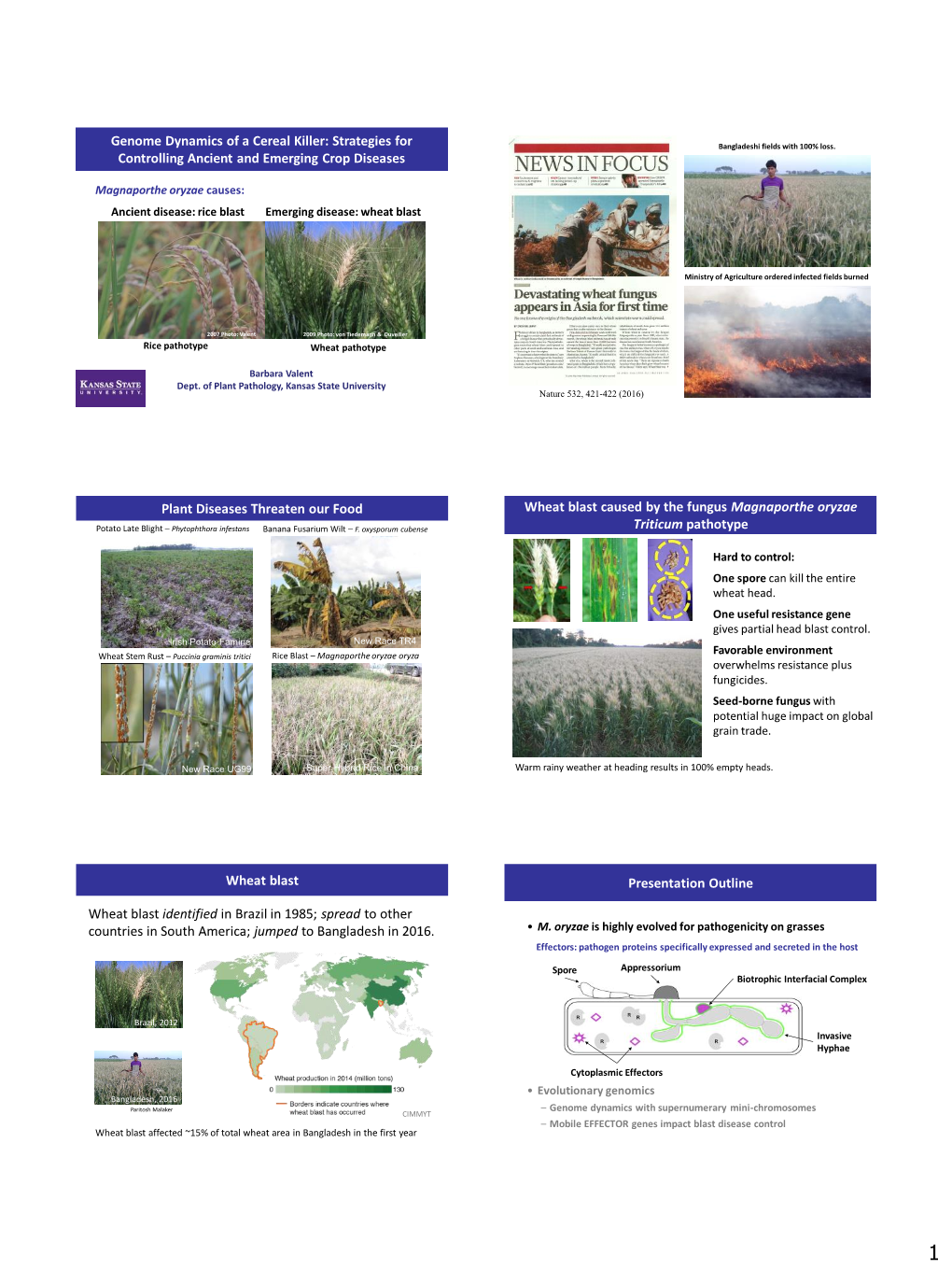 Genome Dynamics of a Cereal Killer: Strategies for Controlling Ancient