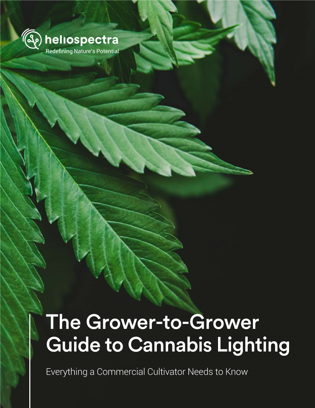 The Grower-To-Grower Guide to Cannabis Lighting