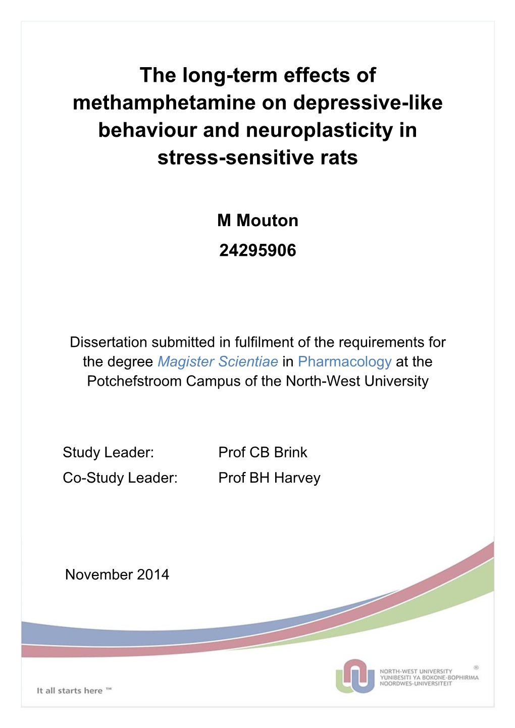 The Long-Term Effects of Methamphetamine on Depressive-Like Behaviour and Neuroplasticity in Stress-Sensitive Rats