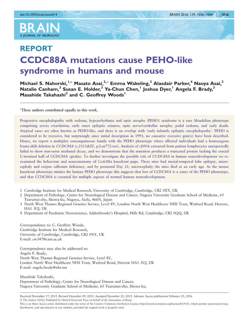 CCDC88A Mutations Cause PEHO-Like Syndrome in Humans and Mouse