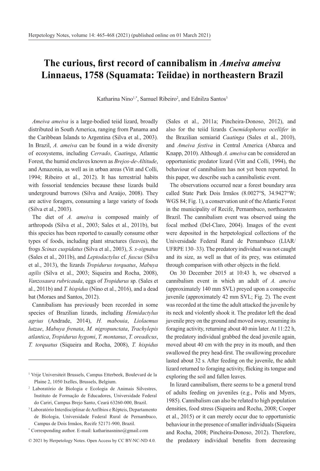 The Curious, First Record of Cannibalism in Ameiva Ameiva Linnaeus, 1758