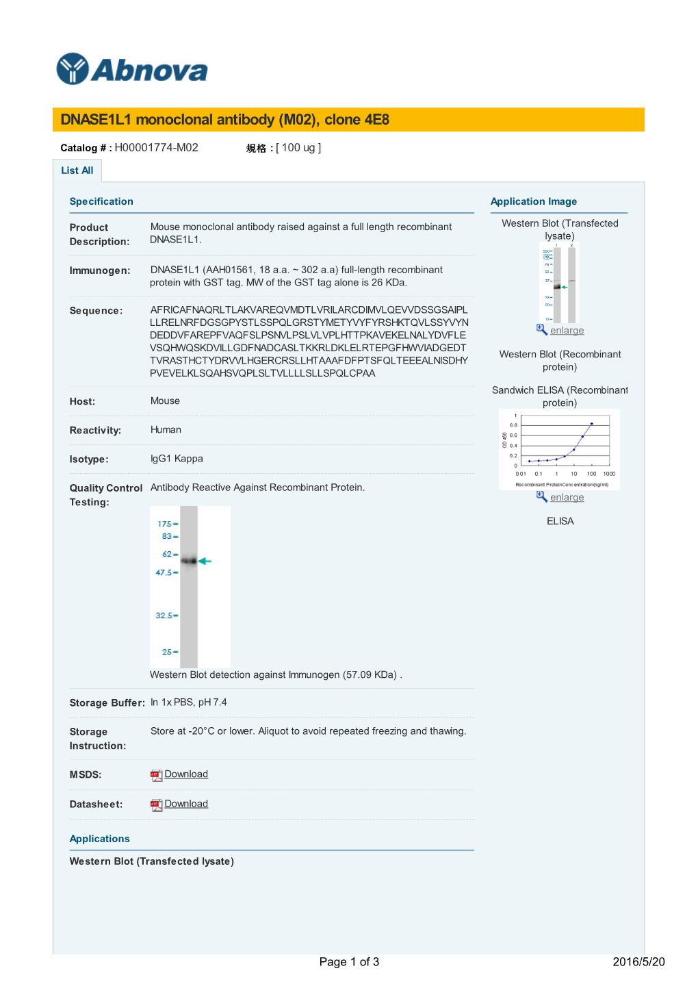 DNASE1L1 Monoclonal Antibody (M02), Clone 4E8