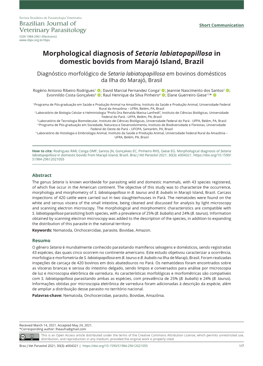 Morphological Diagnosis of Setaria Labiatopapillosa in Domestic Bovids from Marajó Island, Brazil