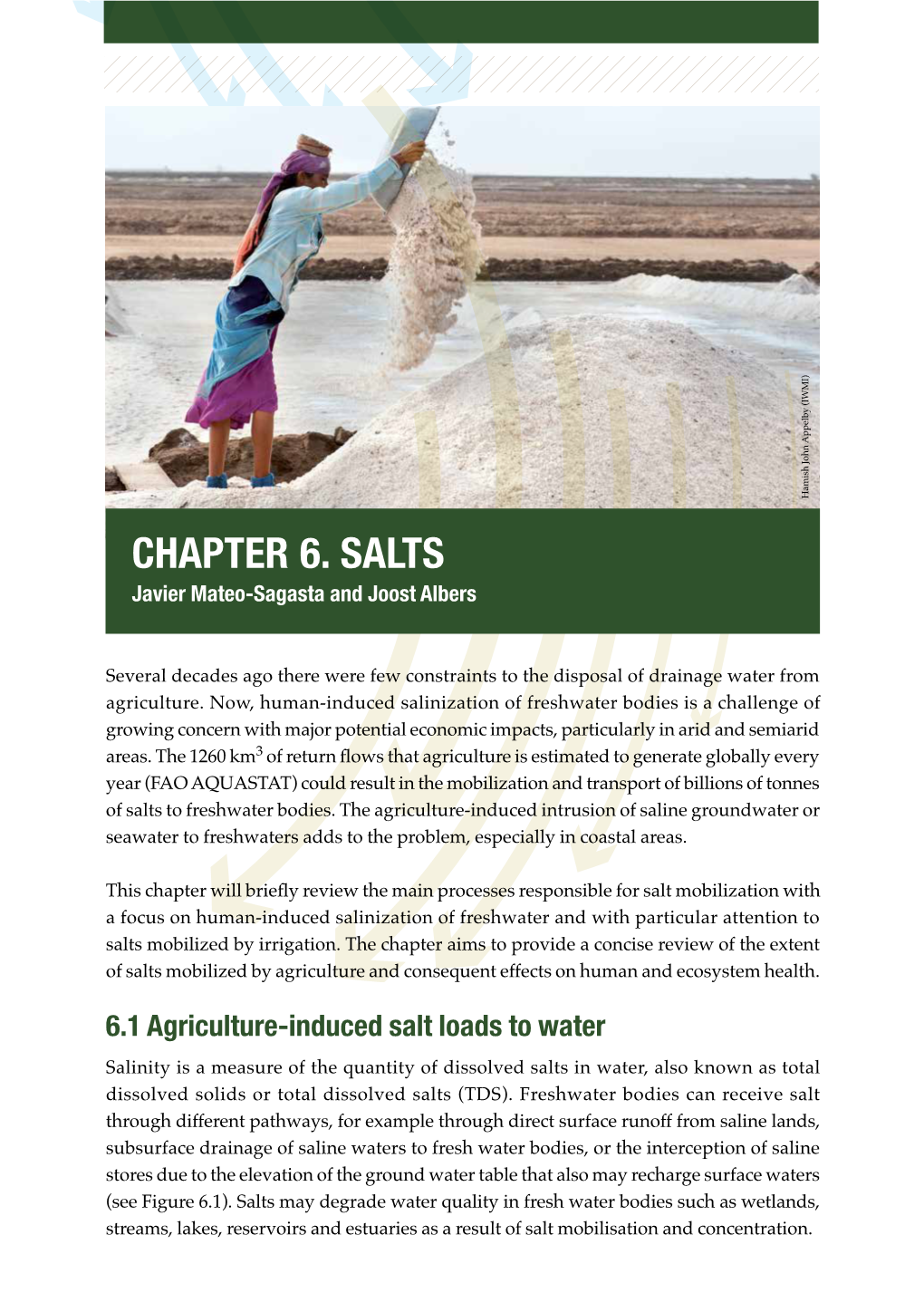 People, More Food, Worse Water? - a Global Review of Water Pollution from Agriculture 95