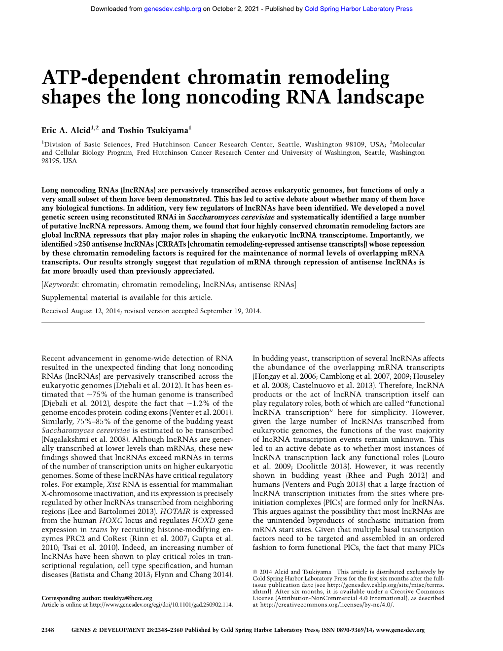 ATP-Dependent Chromatin Remodeling Shapes the Long Noncoding RNA Landscape
