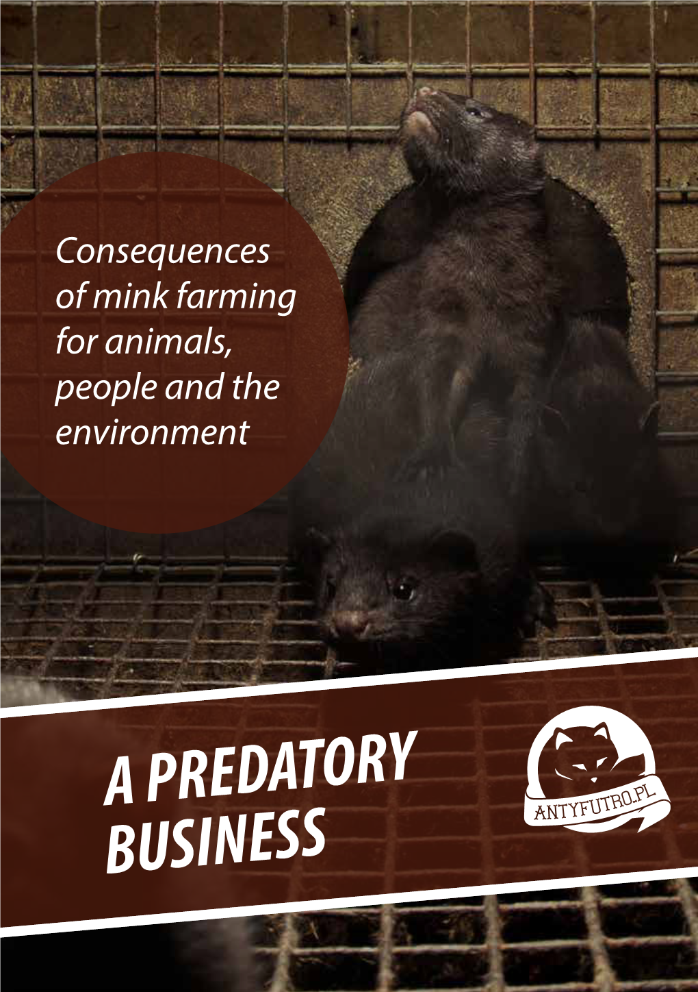 A PREDATORY BUSINESS Otwarte Klatki Association — a Nationwide Initiative for Animal Rights Established in 2012