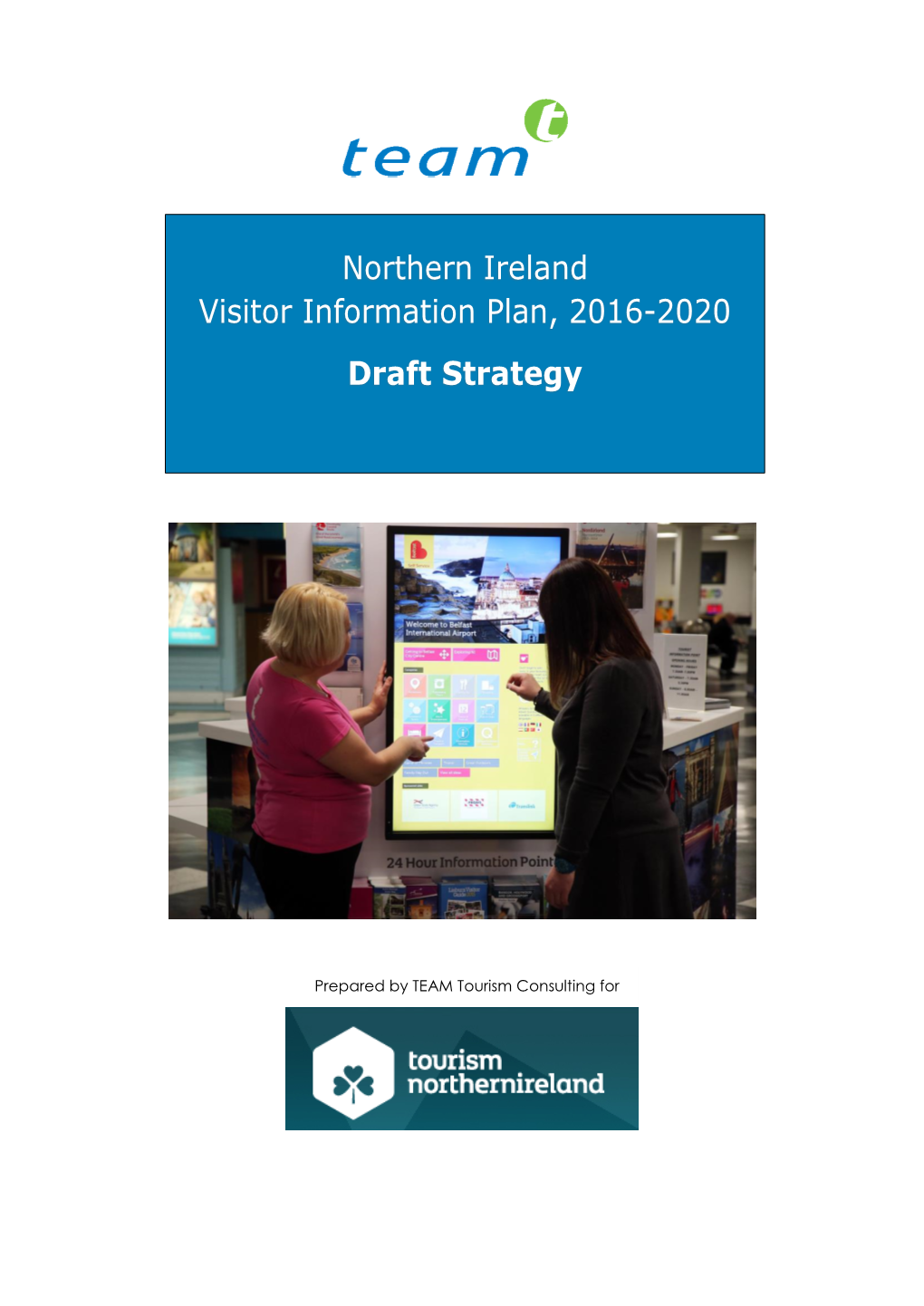 PDF NI VIP Review Draft Strategy