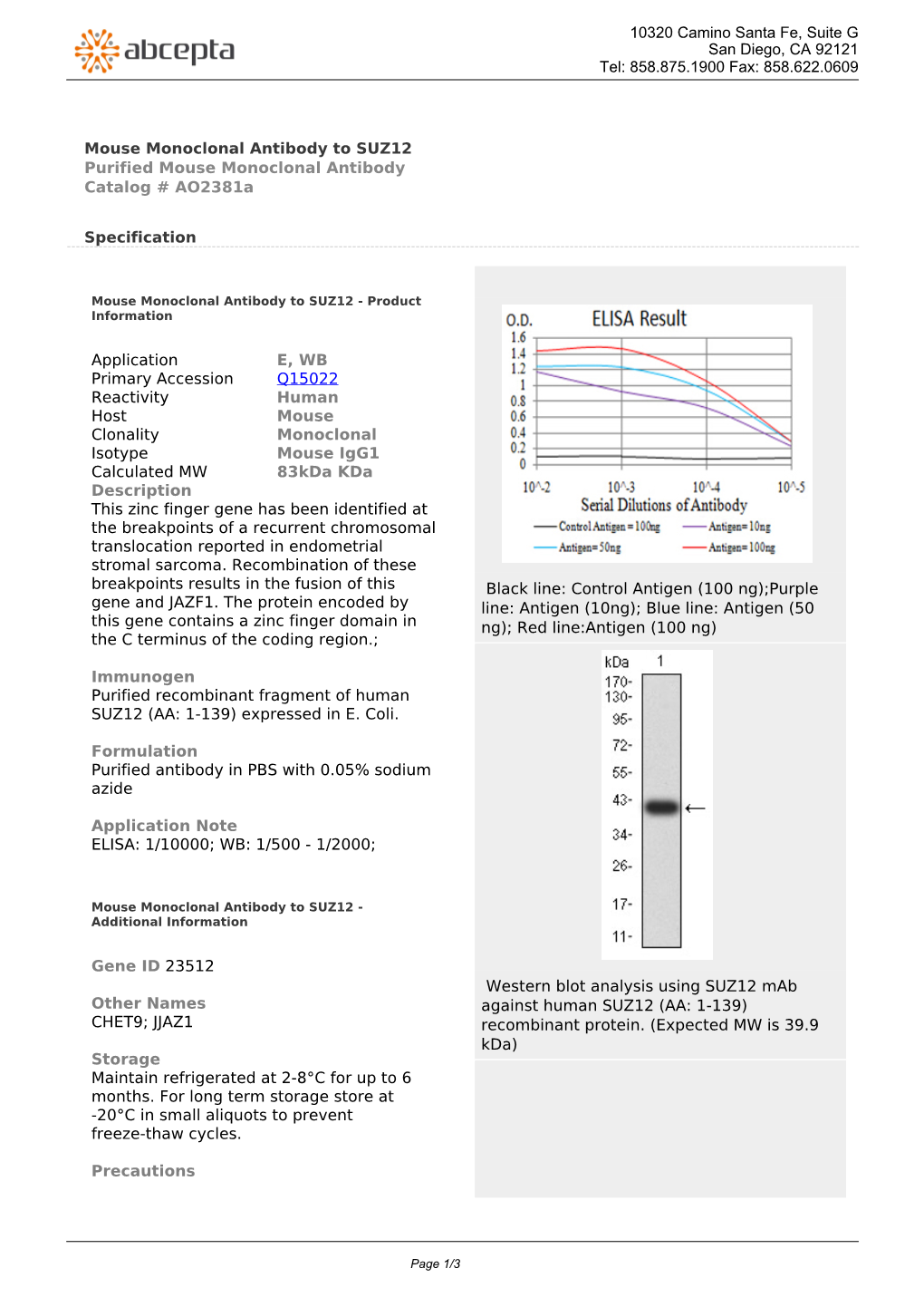 Mouse Monoclonal Antibody to SUZ12 Purified Mouse Monoclonal Antibody Catalog # Ao2381a