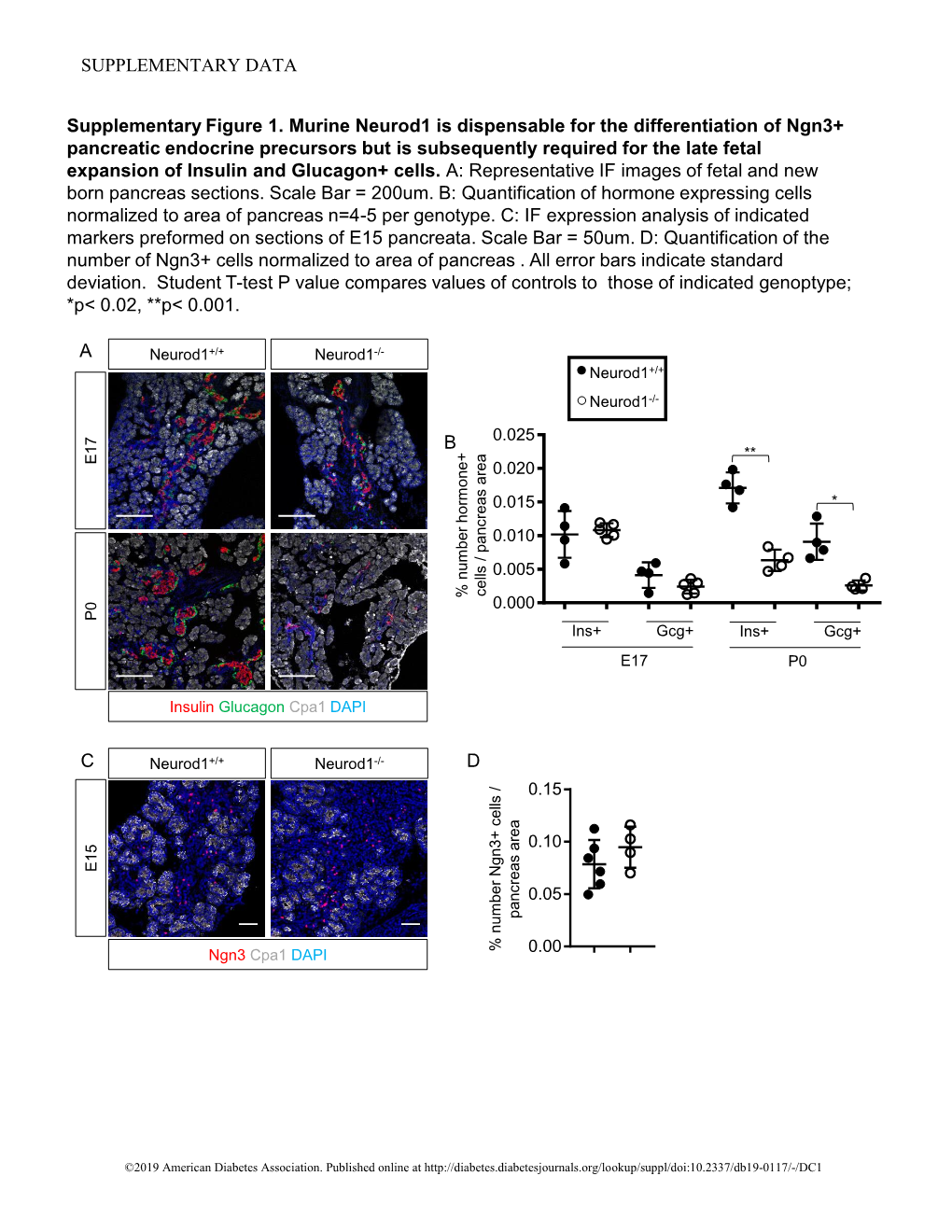 A B C D Supplementa Figure 1. Ry Murine Neurod1 Is Dispensable for the Differentiation of Ngn3+ Pancreatic Endocrine Precursors