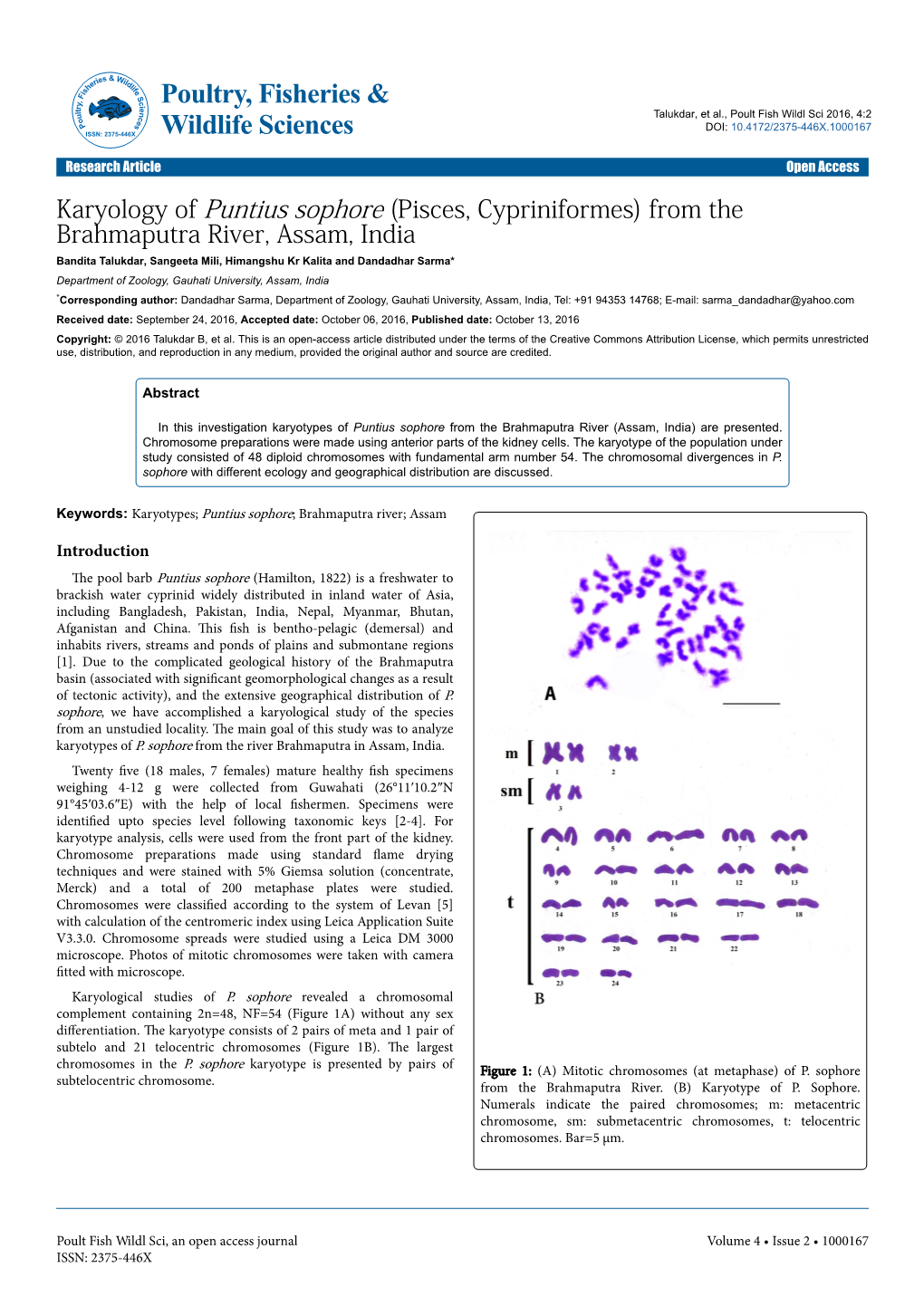 Karyology of Puntius Sophore (Pisces, Cypriniformes)