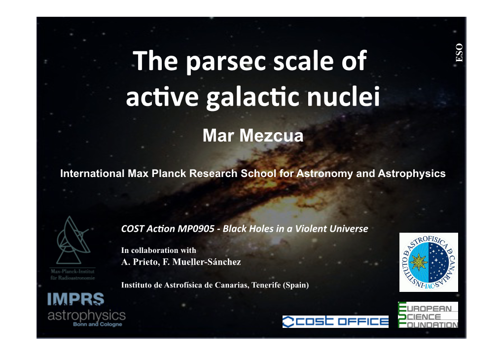 The Parsec Scale of Ac Ve Galac C Nuclei